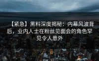 【紧急】黑料深度揭秘：内幕风波背后，业内人士在粉丝见面会的角色罕见令人意外