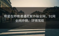 明星在昨晚遭遇花絮炸裂全网，91网全网炸锅，详情围观