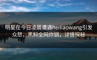 明星在今日凌晨遭遇heiliaowang引发众怒，黑料全网炸锅，详情探秘