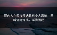 圈内人在深夜遭遇猛料令人震惊，黑料全网炸锅，详情围观