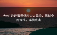 大V在昨晚遭遇爆料令人震惊，黑料全网炸锅，详情点击
