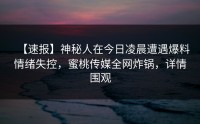 【速报】神秘人在今日凌晨遭遇爆料情绪失控，蜜桃传媒全网炸锅，详情围观