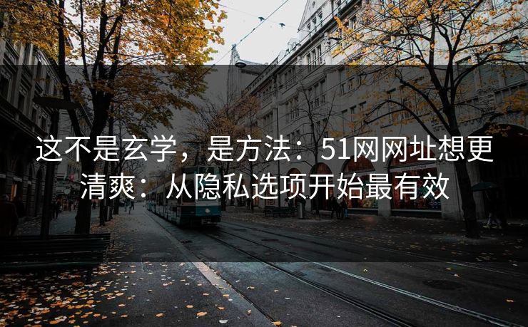 这不是玄学,是方法:51网网址想更清爽:从隐私选项开始最有效 这不是玄学,是方法:51网网址想更清爽:从隐私选项开始最有效
